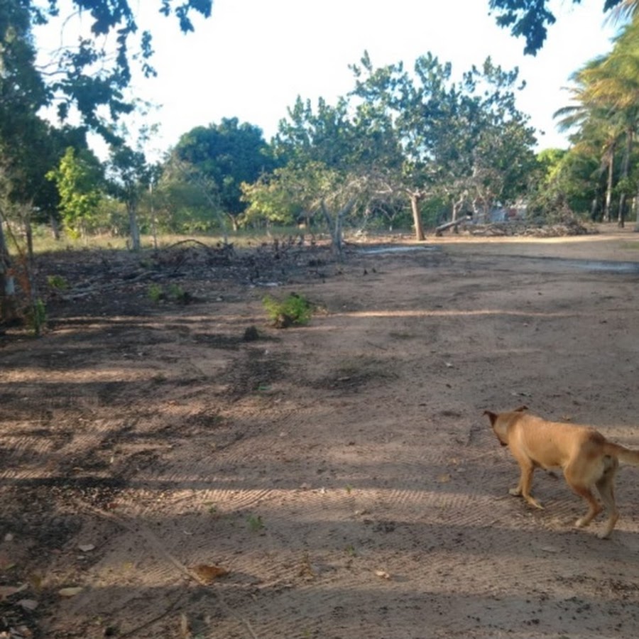 Camping Fazenda Família Oascke