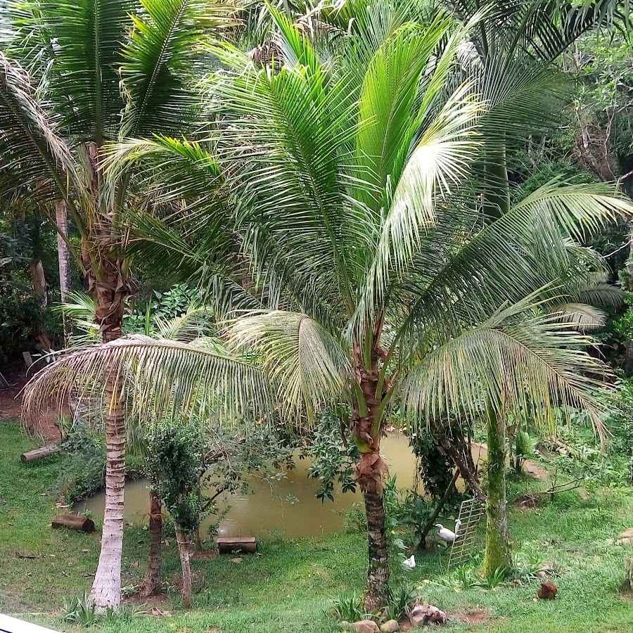 Camping Hostel Parque das Cachoeiras