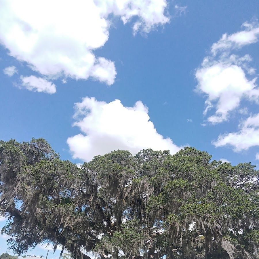 Camping Mundo Nativo (Antiga Fazendinha)