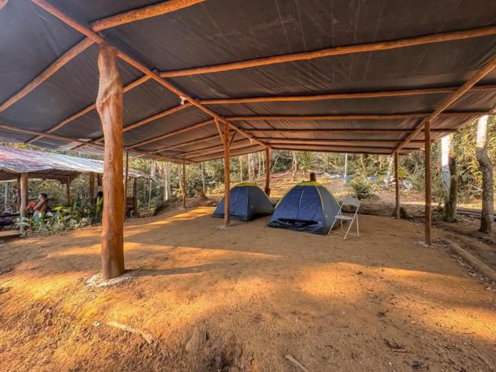Camping Vida Longa
