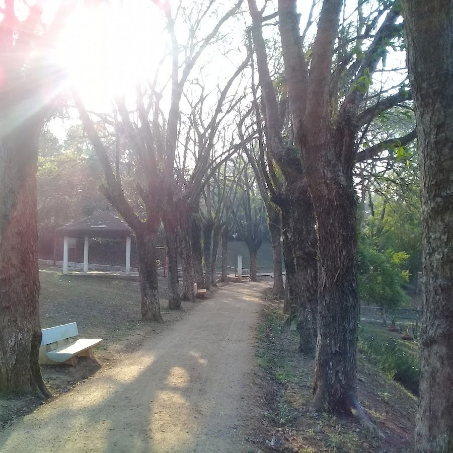 Casa de apoio Família Cemin Pereira