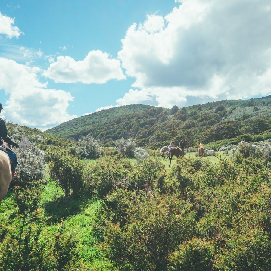 Centro Hípico Fin del Mundo