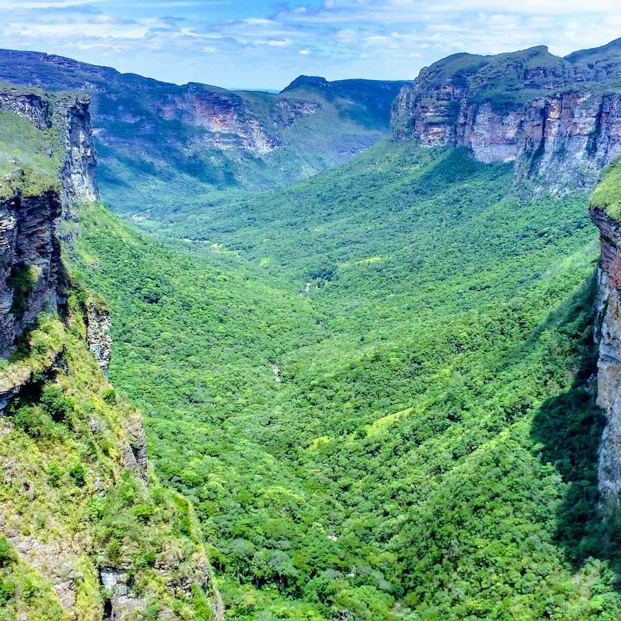 Chapada Diamantina - Jardins botânicos