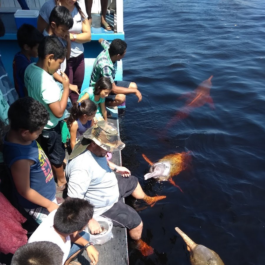 Deck Flutuante de Golfinhos do Rio