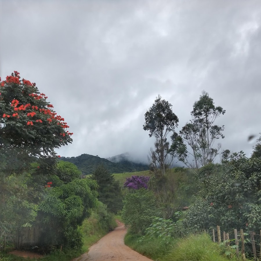 Delfim Moreira Playón