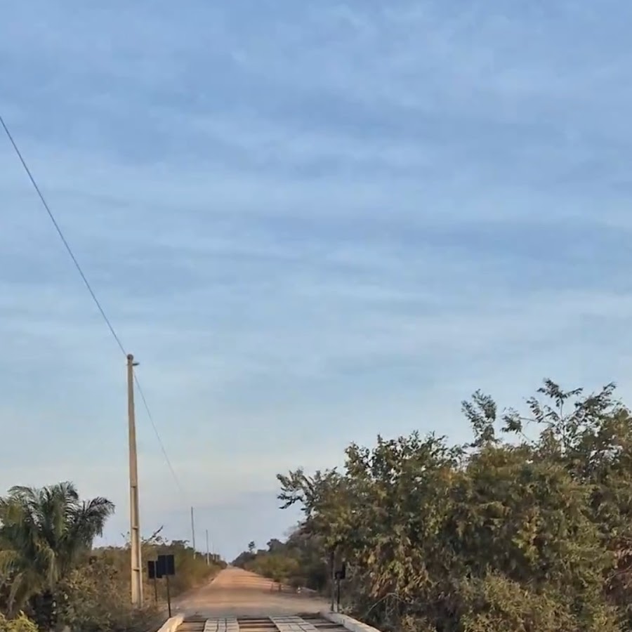 Próximo ao sinal da transpantaneira