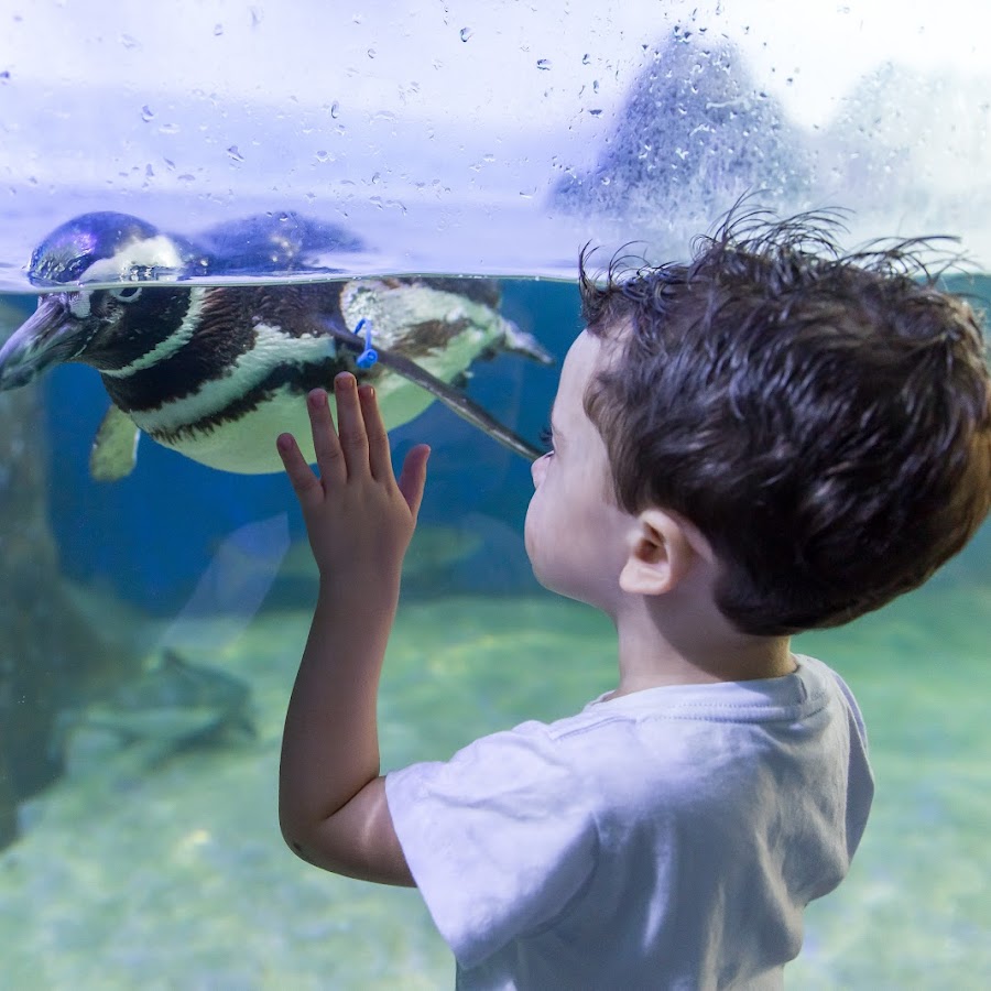Estacionamento do Aquário de Ubatuba