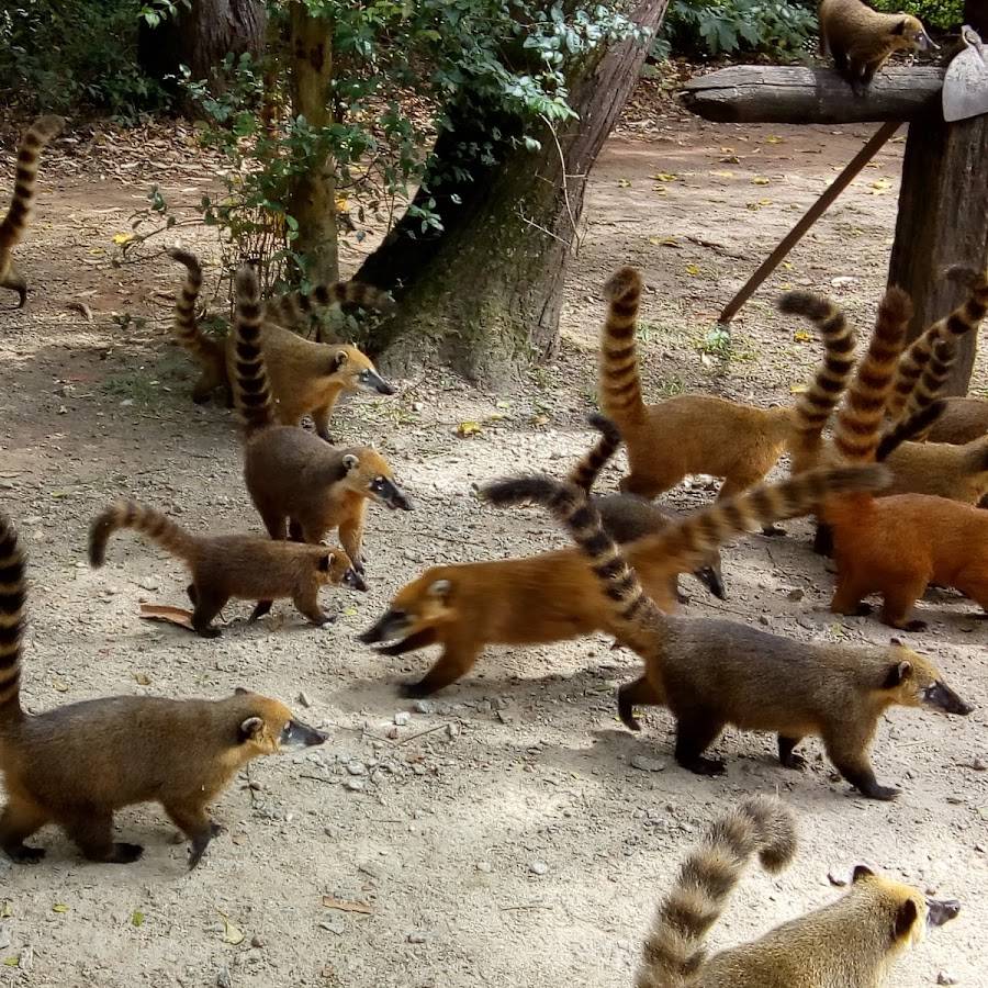 São João do paraíso