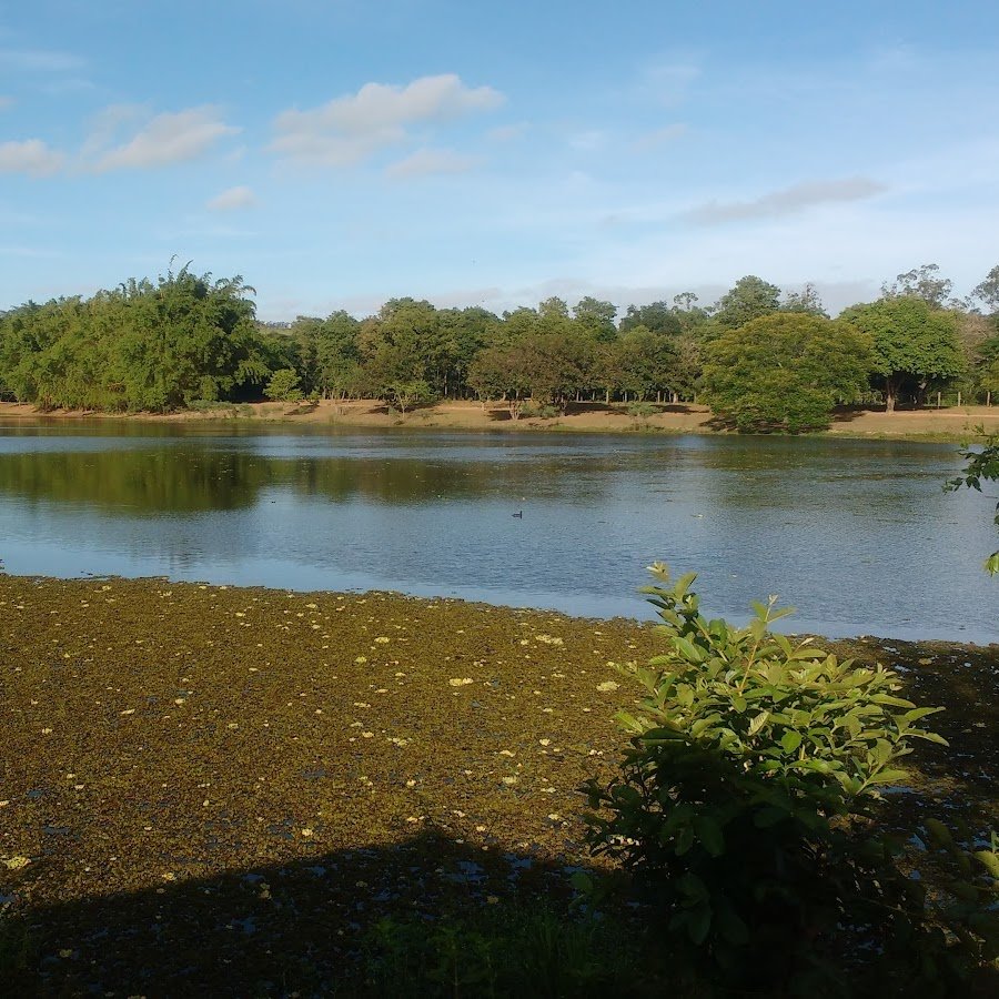 Estacionamento Parque do lago