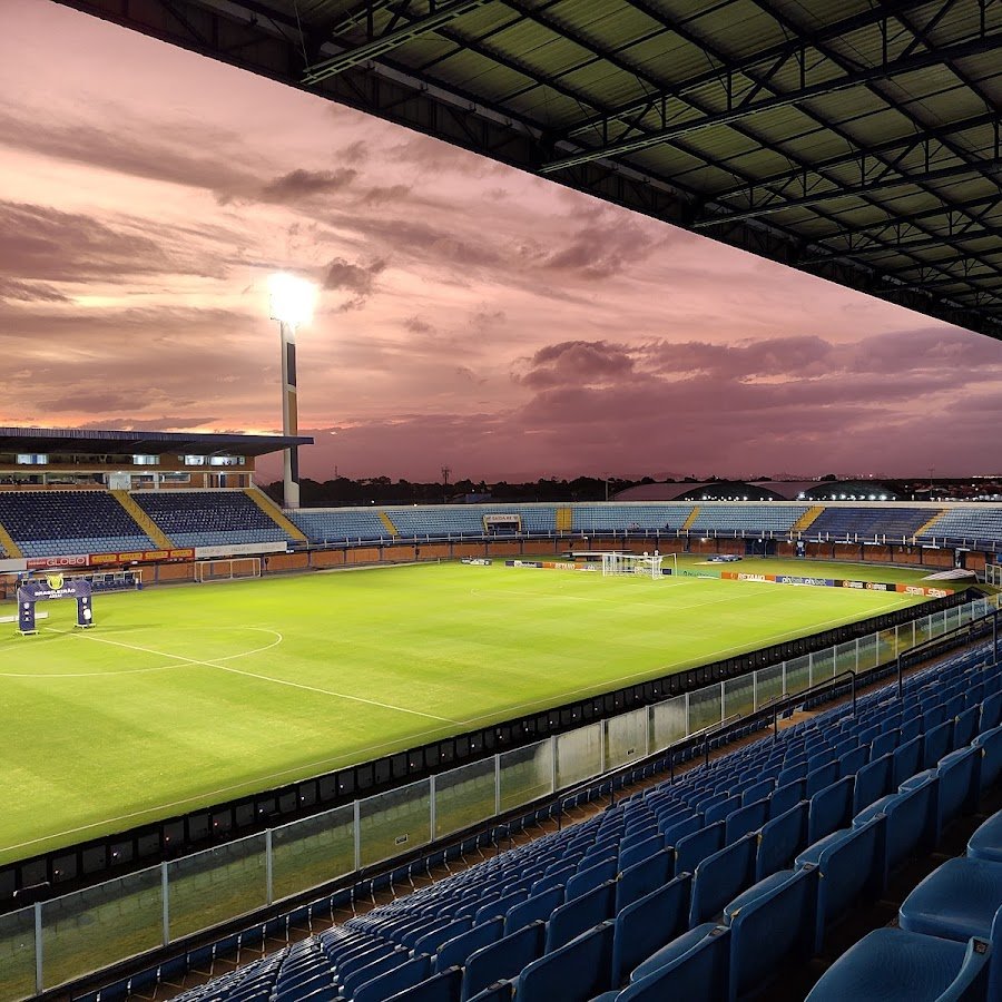 Estádio - entre as árvores