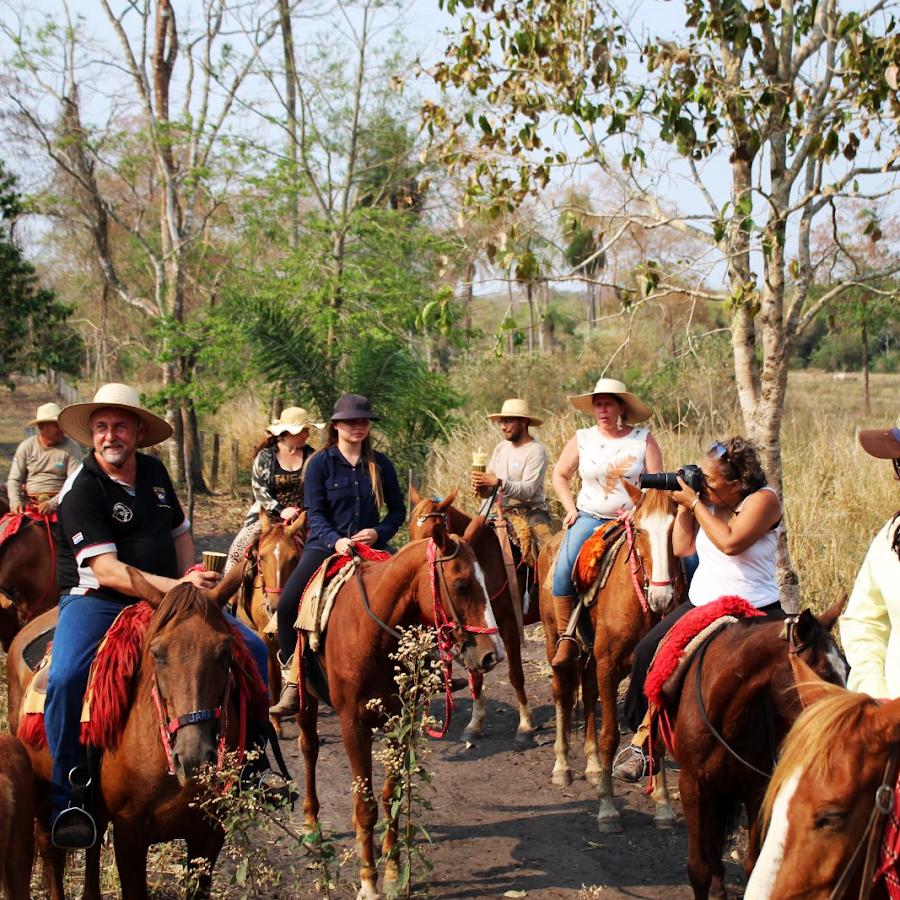 Experiência no Pantanal