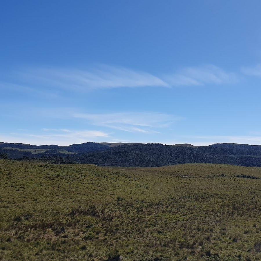 Fazenda Santa Cãndida