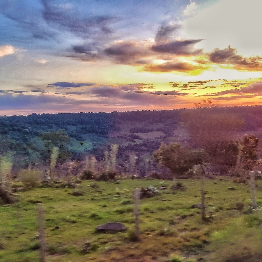 Goio Em-Chapecó-Santa Catarina