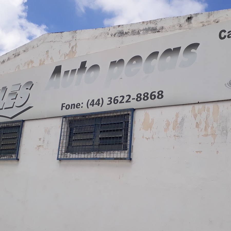 Hércules Auto Peças e Oficina