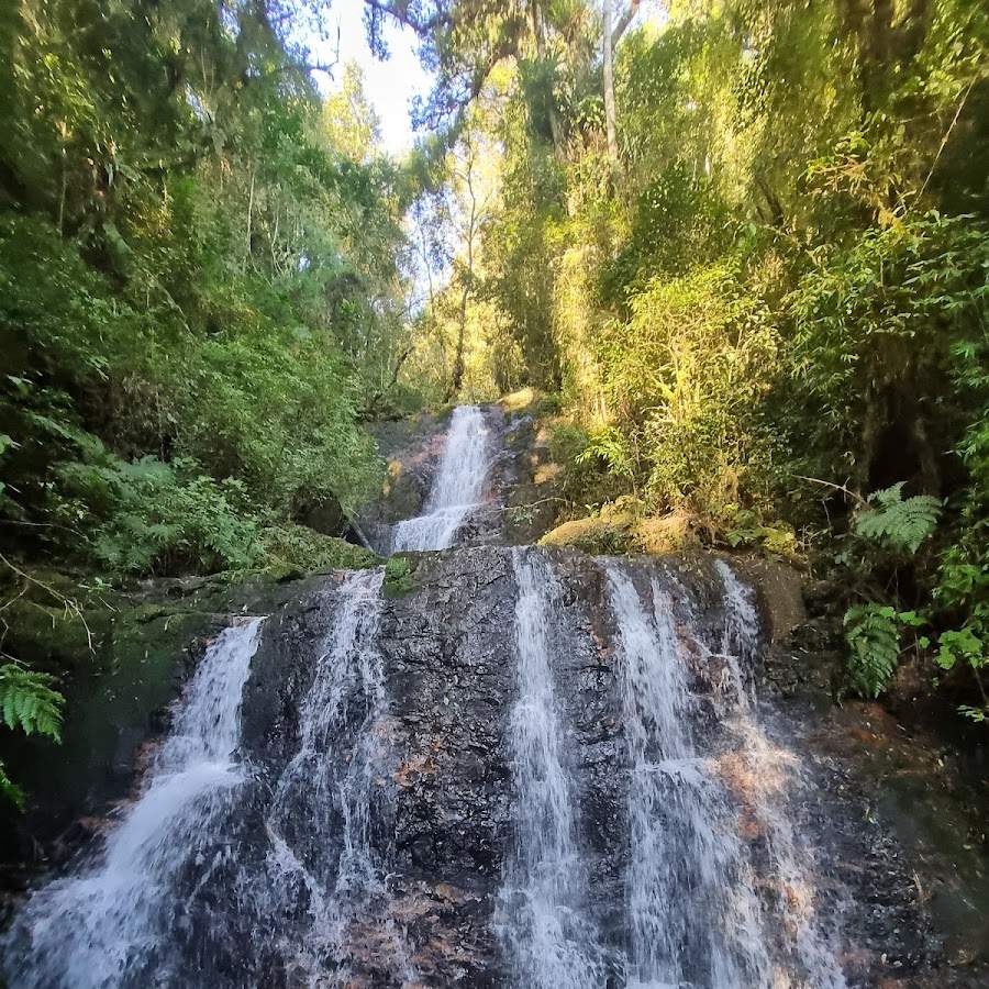 Início da trilha da cachoeira