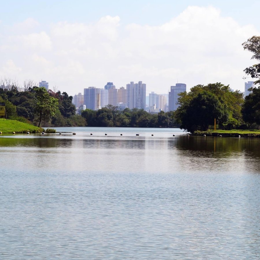 Lixeiras de reciclagem no parque