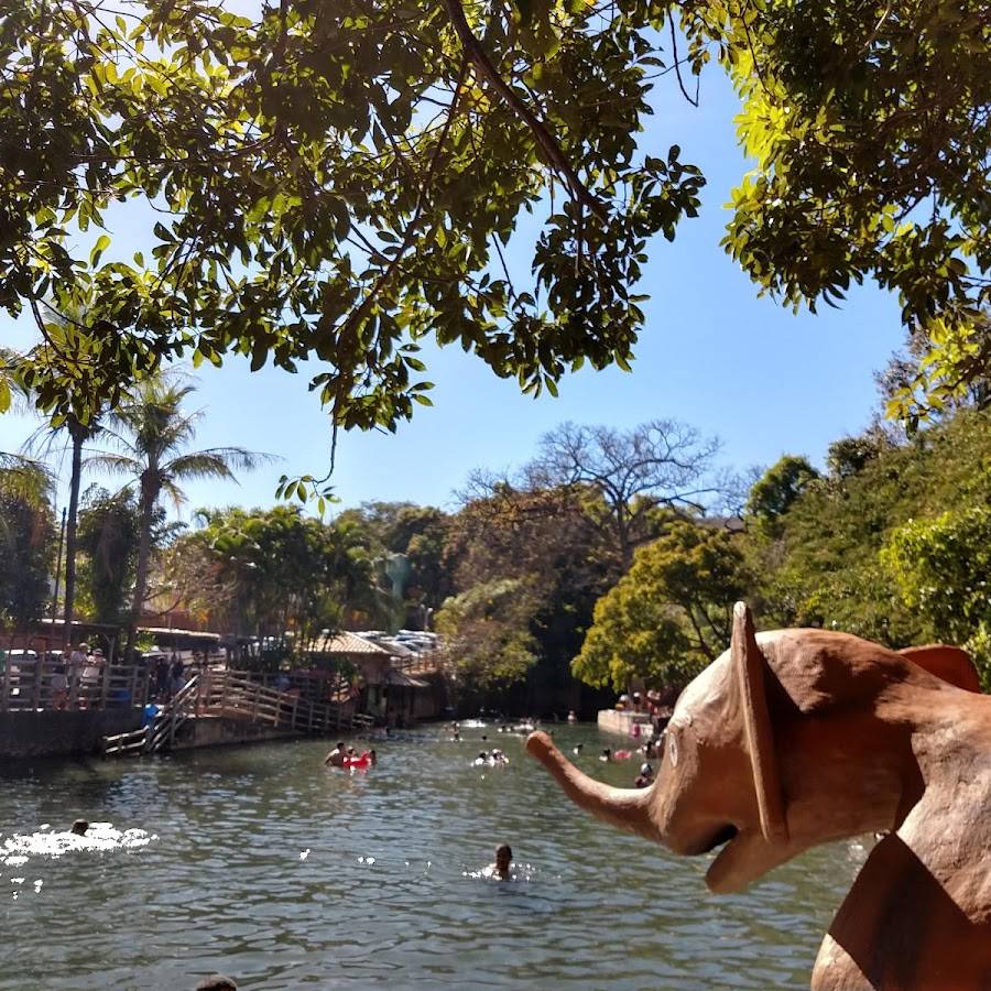 Mato às margens de Río Quente