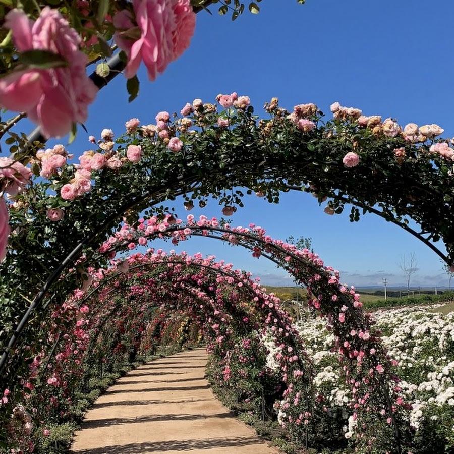 Matria Parque de Flores