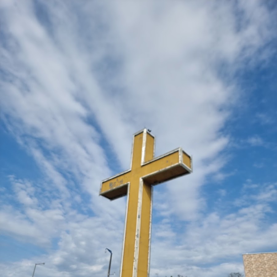 Mirante Parque da Santa Cruz