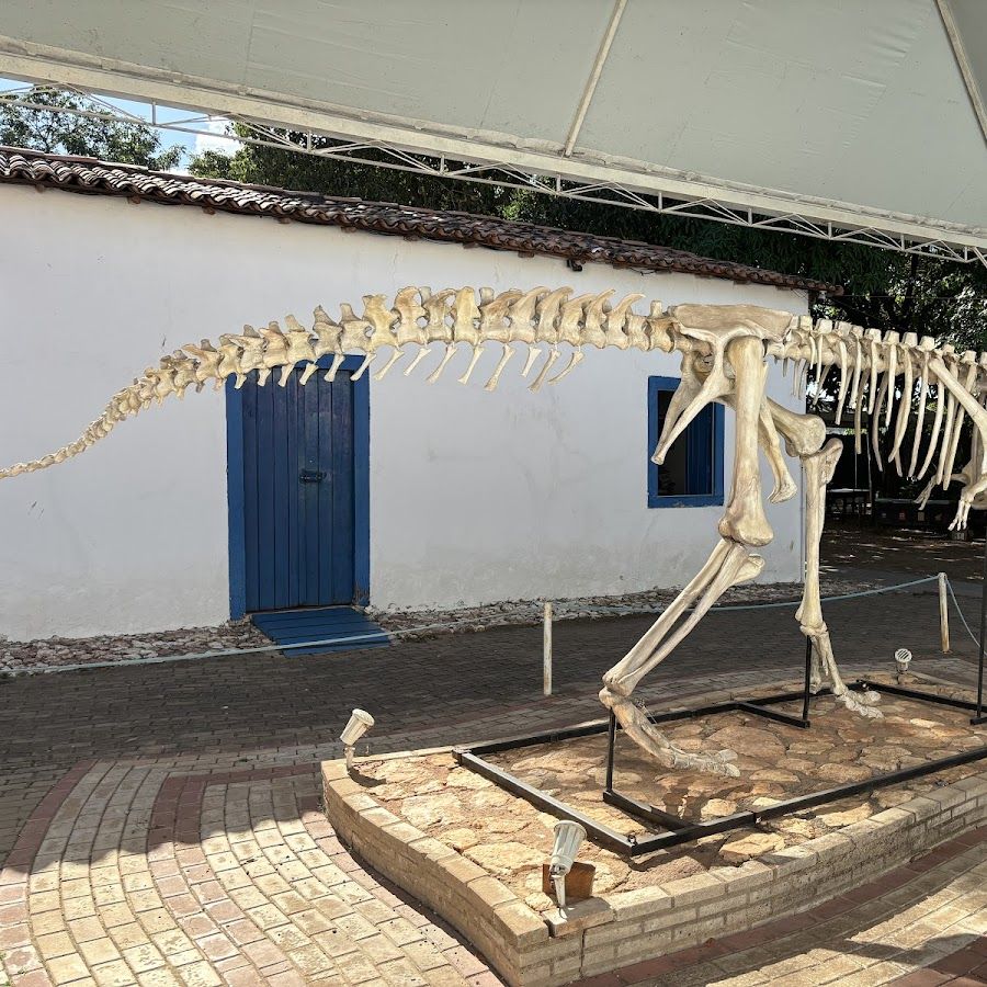 Museu de História Natural de Mato Grosso