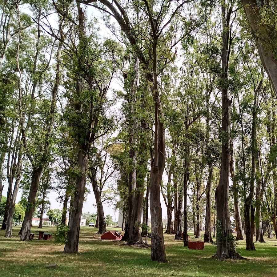 Parque Municipal Taglioretti