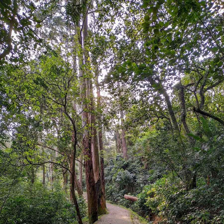 parque verde tranquilo e seguro em bairro bom