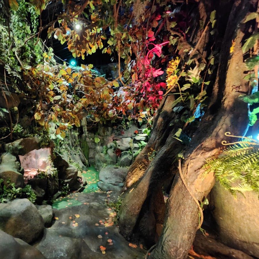 pequena floresta ao lado da estrada