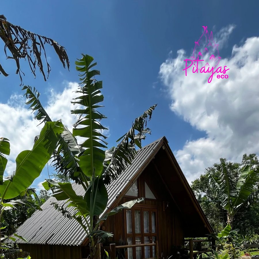 Pitayas eco (camping)