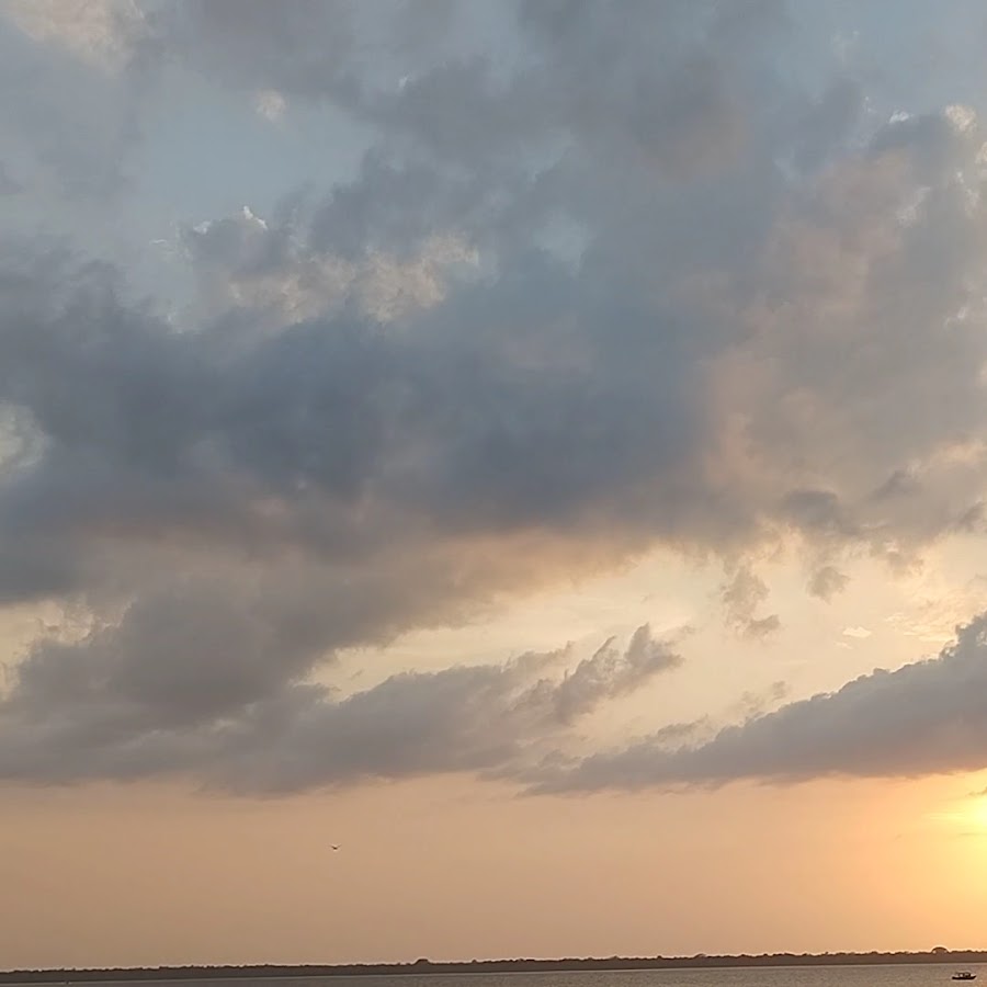 Portal Público da Amazônia