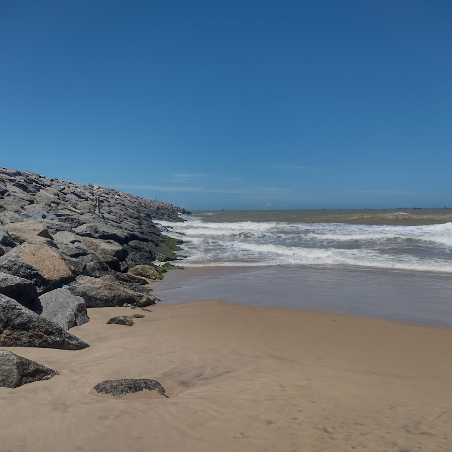 Praia do Acu - árvores de pinheiro sombrias