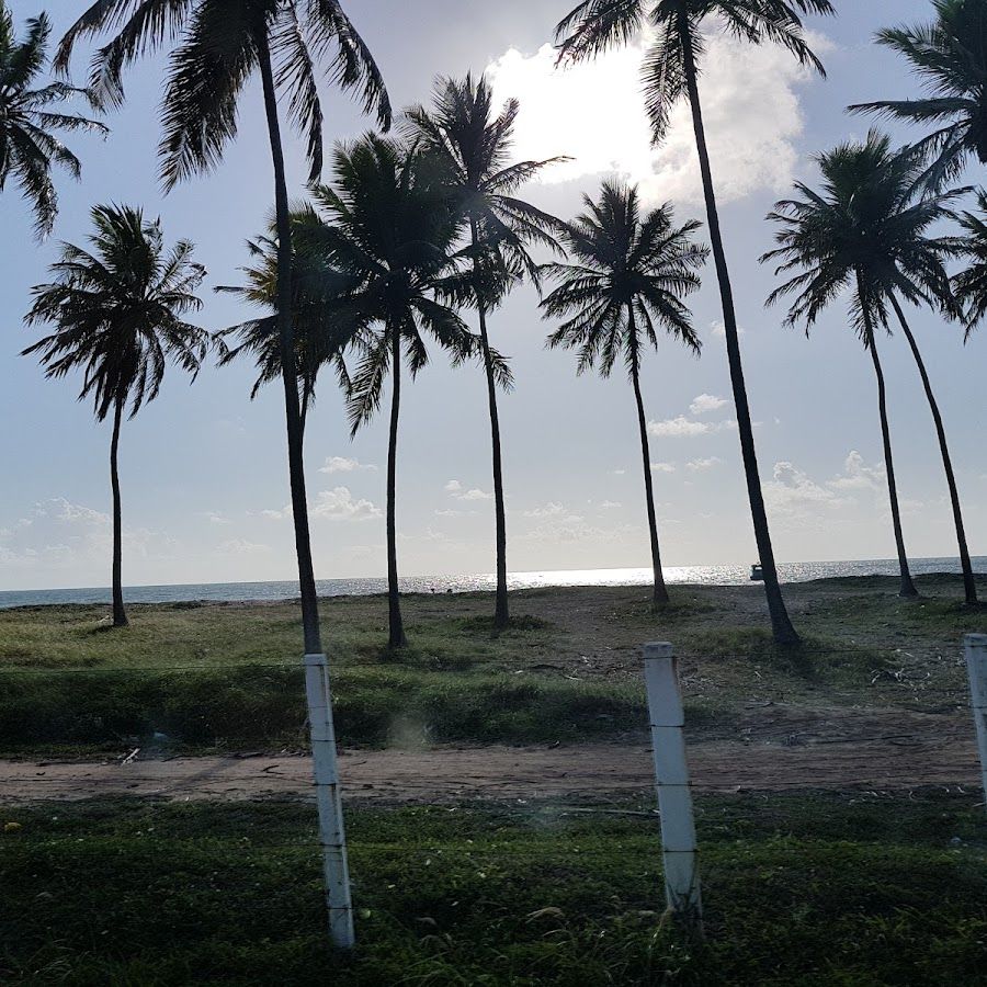 Praia ponta dos coqueiros