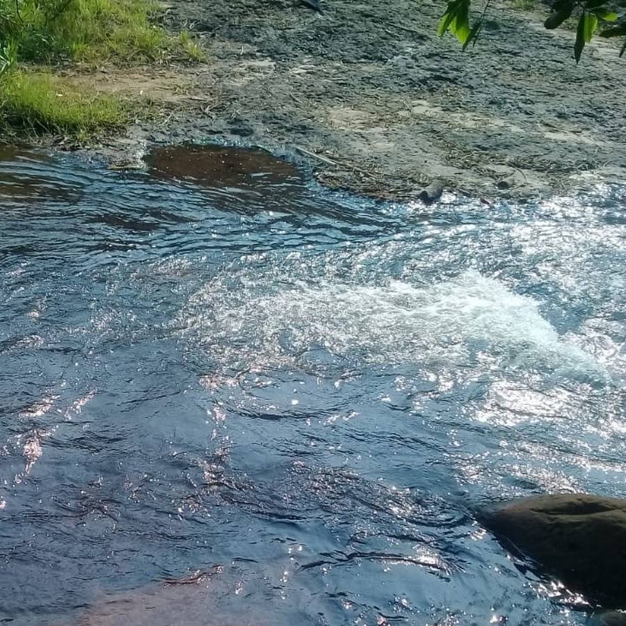 Camping - Rancho do Vô Nido (Furna do Dionísio)