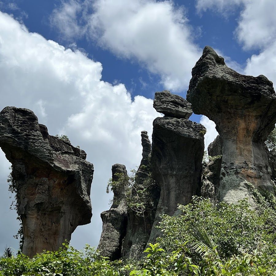 Camping - Reserva Natureza Divina