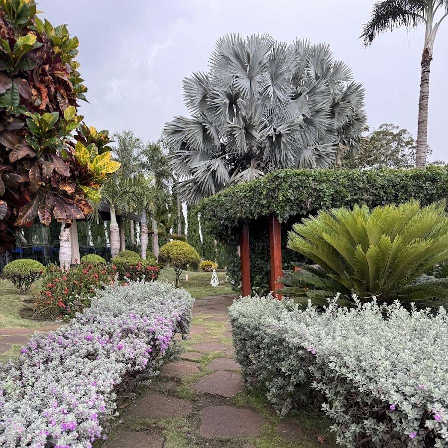 TruckStop Desio Parada Bonita