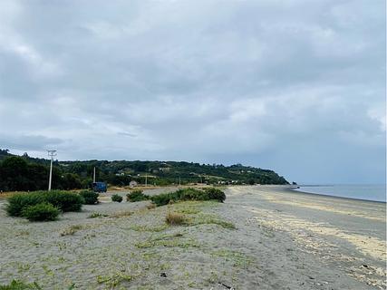 2W Spot na praia - Golfinhos