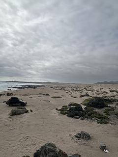 2WD Beach Camp
