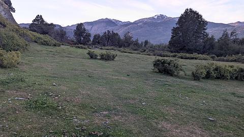 4x4 Hidden Pasture