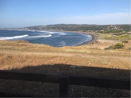 À beira da estrada em Punta de Lobos