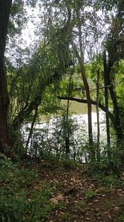 À beira do rio Iguaçu em Balsa Nova PR