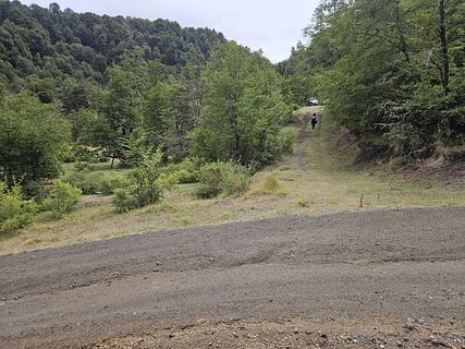 Abrigo para gado