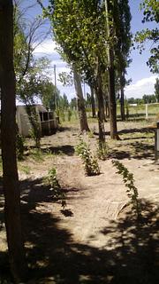 ACA Las Flores