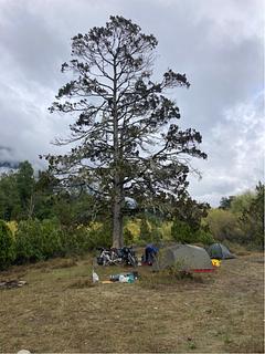 Acampamento ribeirinho para ciclistas