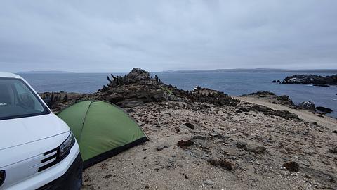 acampamento selvagem costeiro