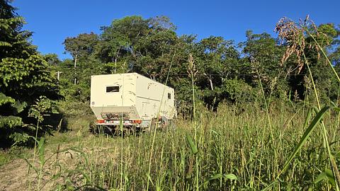 Acampamento selvagem