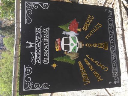 Agrocamping com Alpacas!