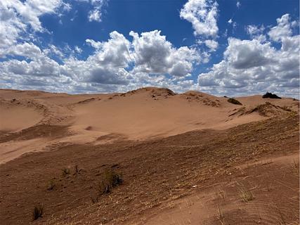 Alto Limpios Teserva Natural Bosques Telteca