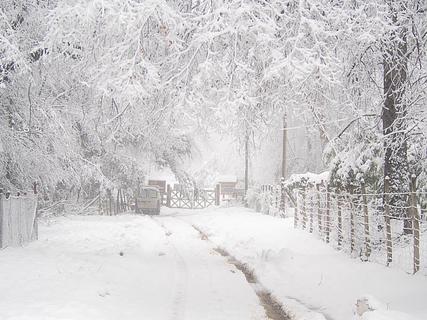 Altos de Lircay Roadside