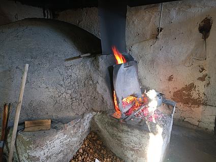 Amasanderia