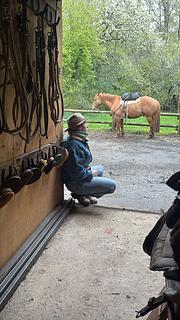 Antilco Horsetrekking