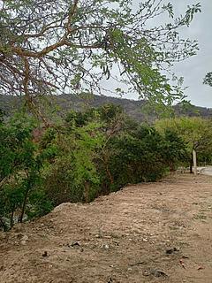 Ao lado do rio